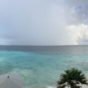 Choose a Book Marketing Company